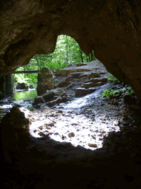 inside Vadu Crisului cave